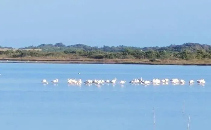 Kerkira